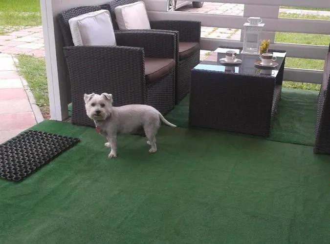 Domki Abiga База отдыха *